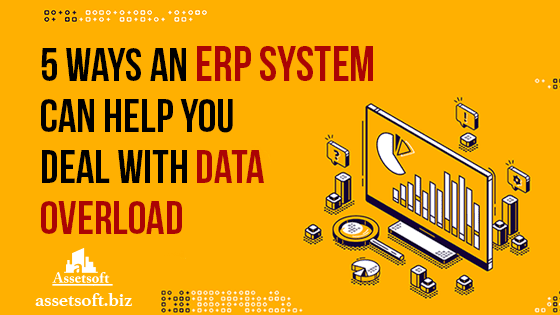 How You Can Prevent Data Overload With ERP Software 